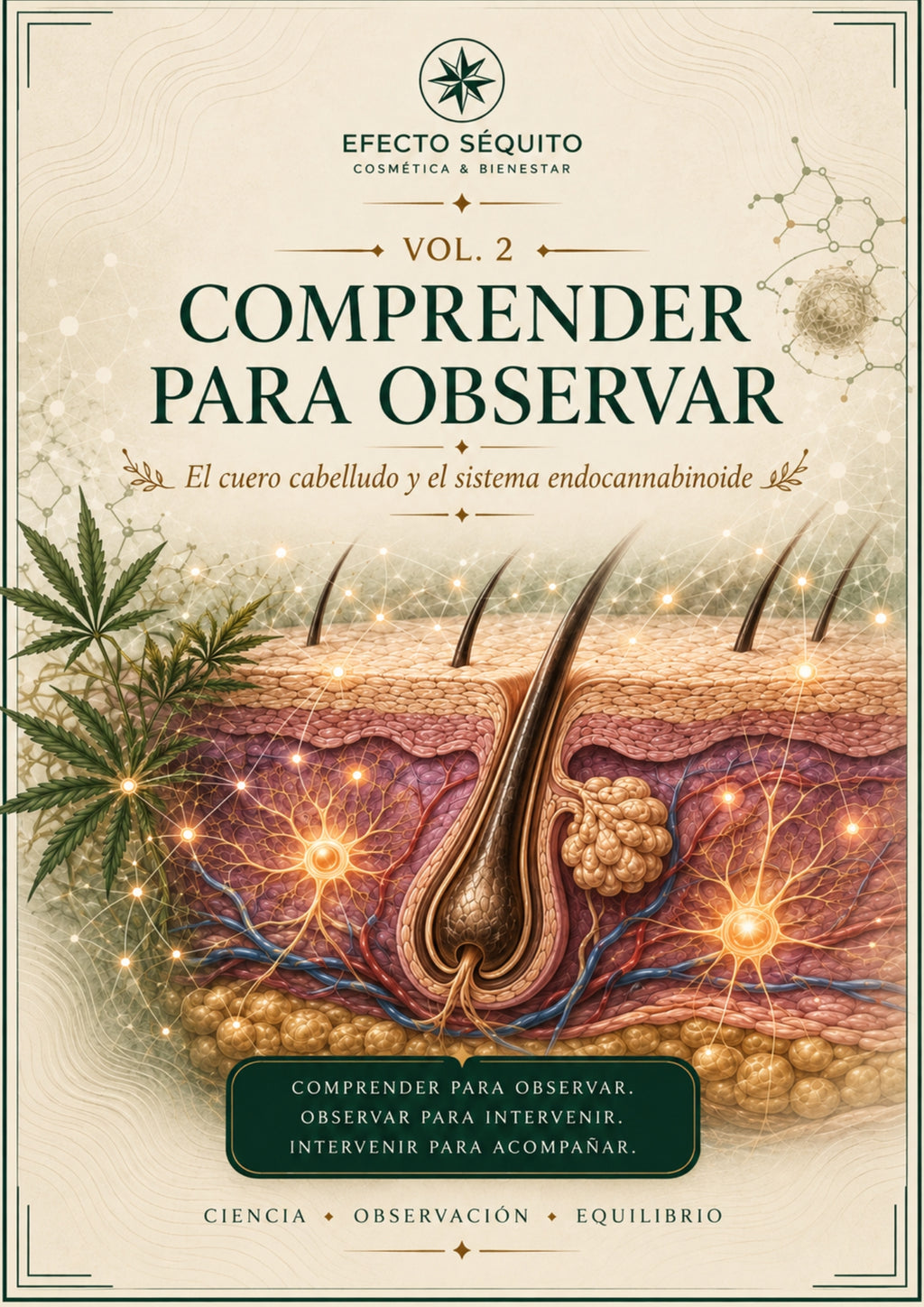 Comprender para Observar – Volumen 2