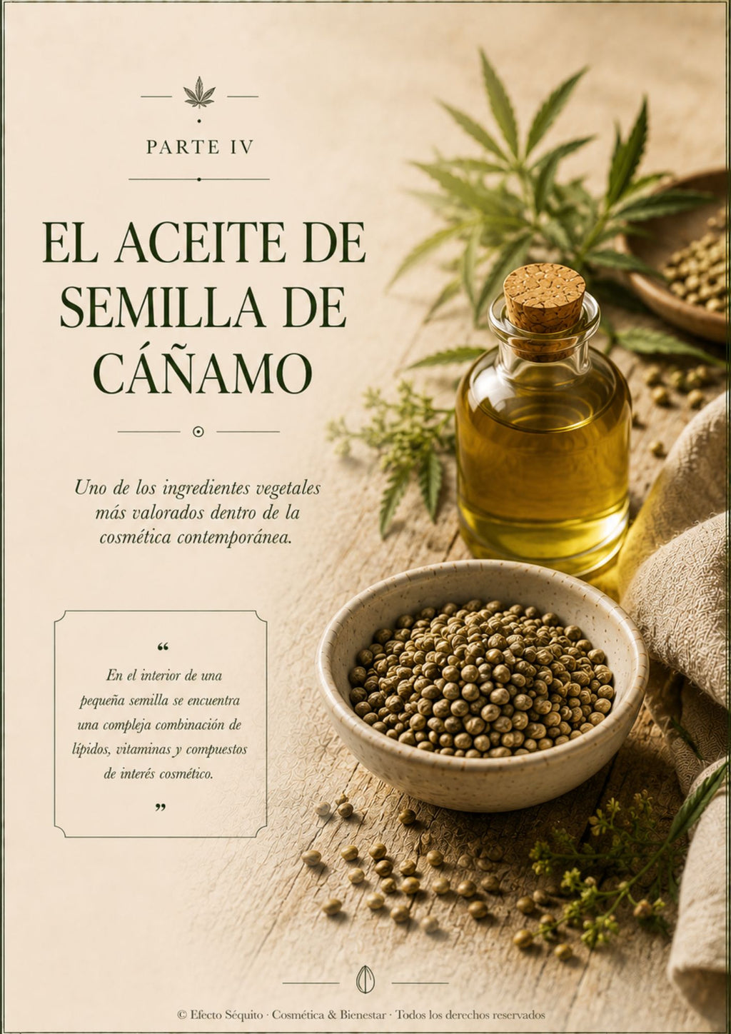 Fundamentos Botánicos – Volumen 3