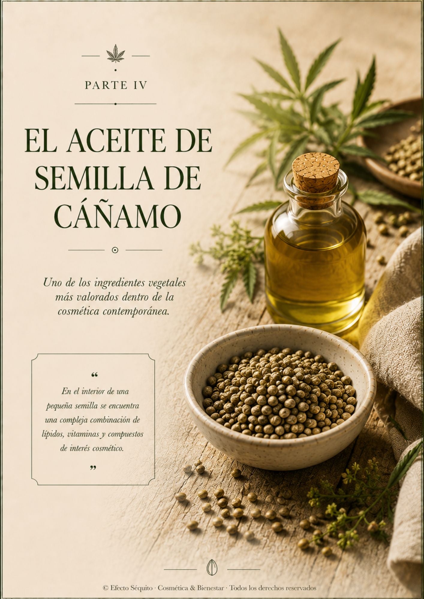 De la Planta al Producto – Volumen 3