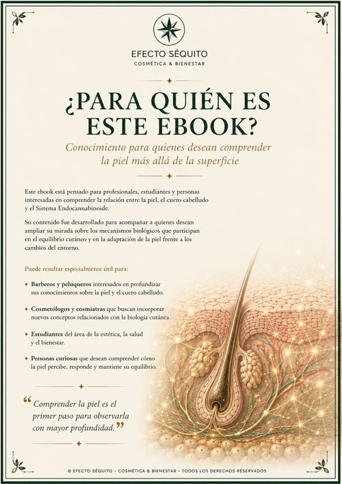 Comprender para Observar – Volumen 2