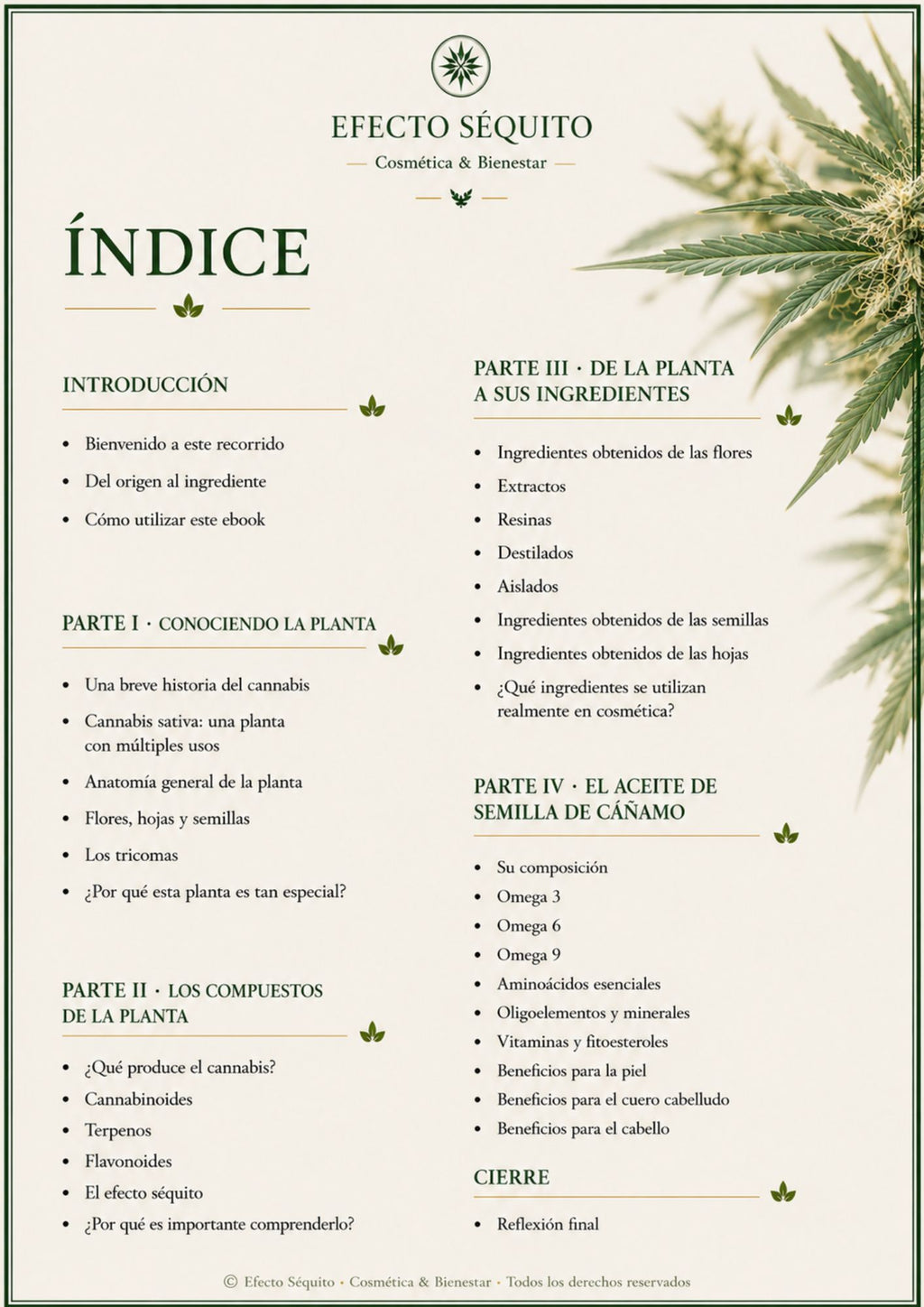 Fundamentos Botánicos – Volumen 3