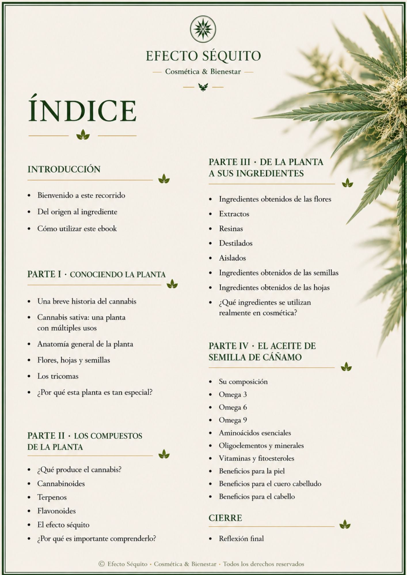 De la Planta al Producto – Volumen 3