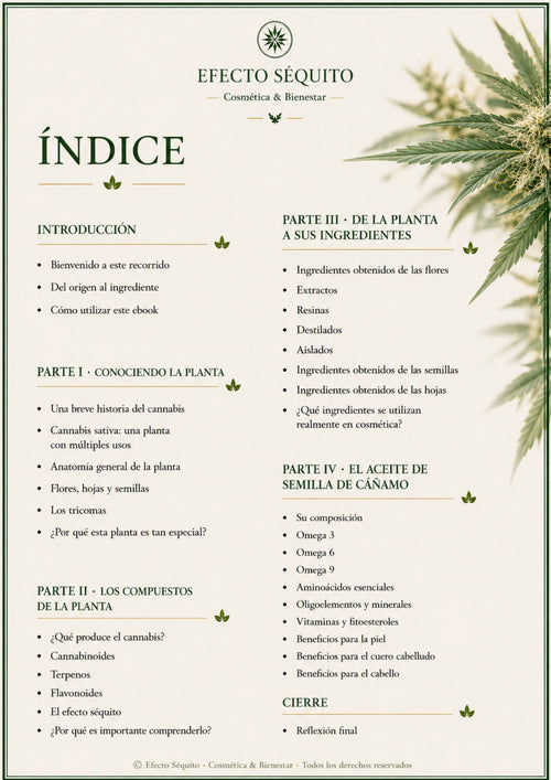 De la Planta al Producto – Volumen 3