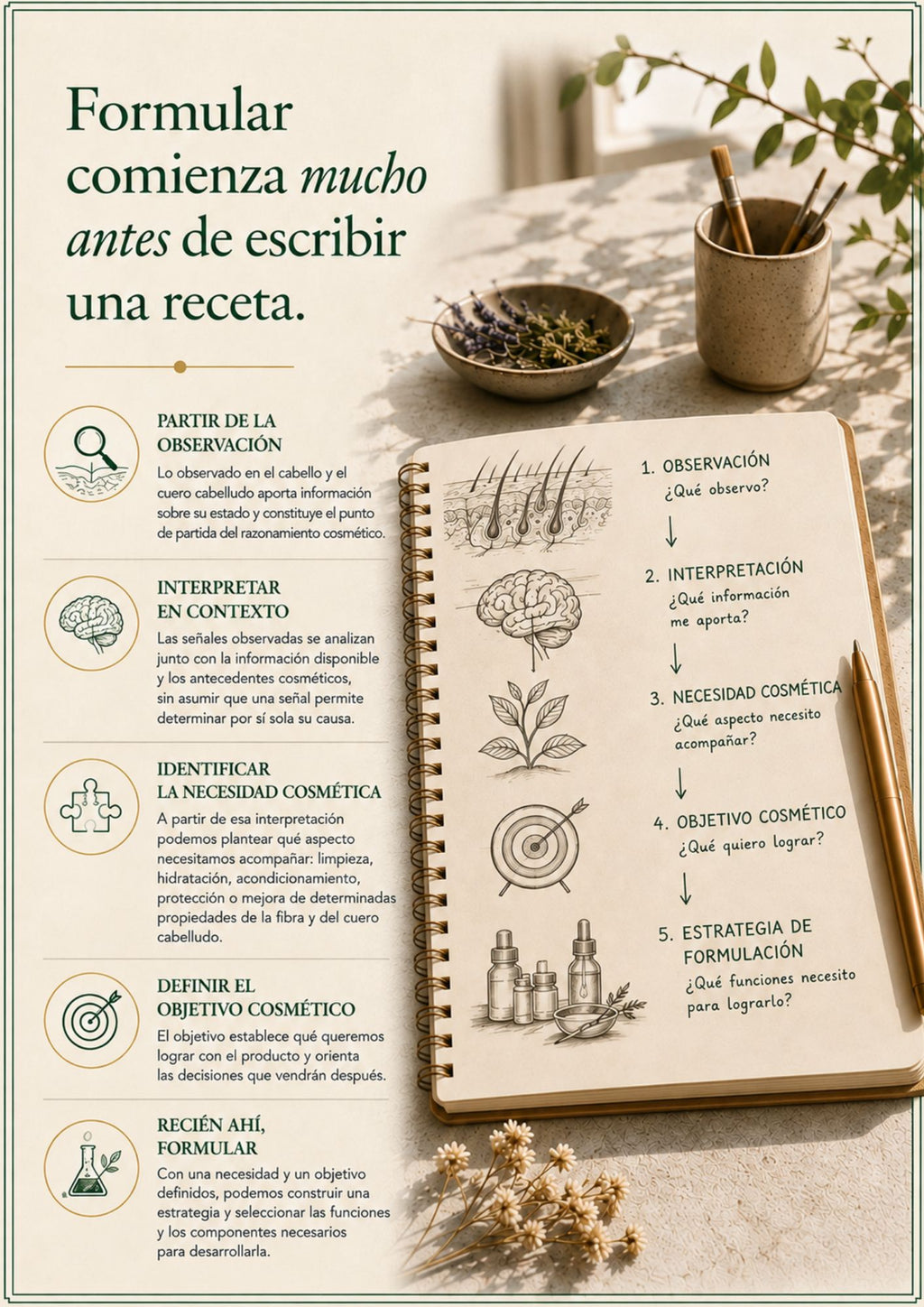 La Lógica de la Formulación | Volumen 6