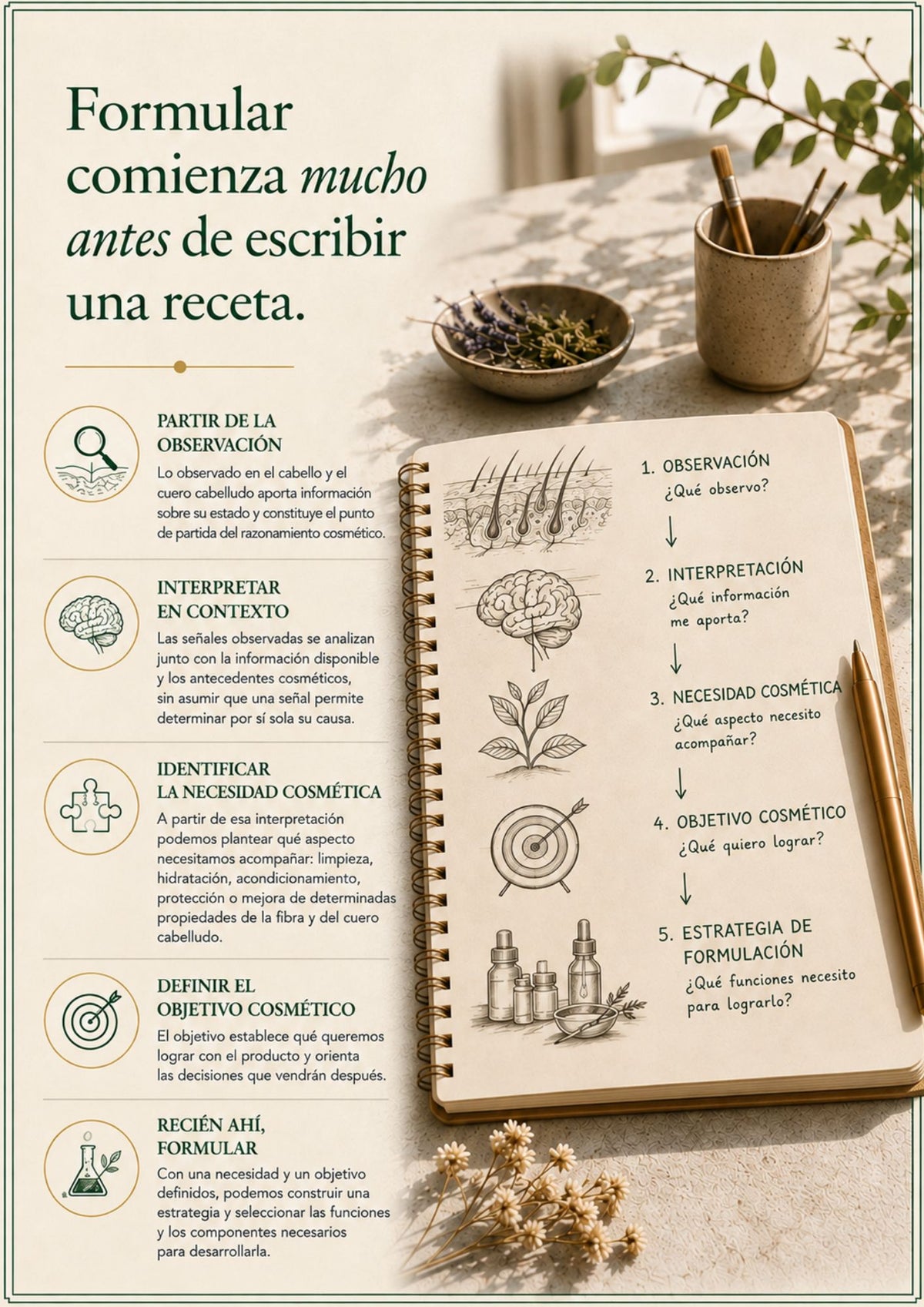La Lógica de la Formulación | Volumen 6