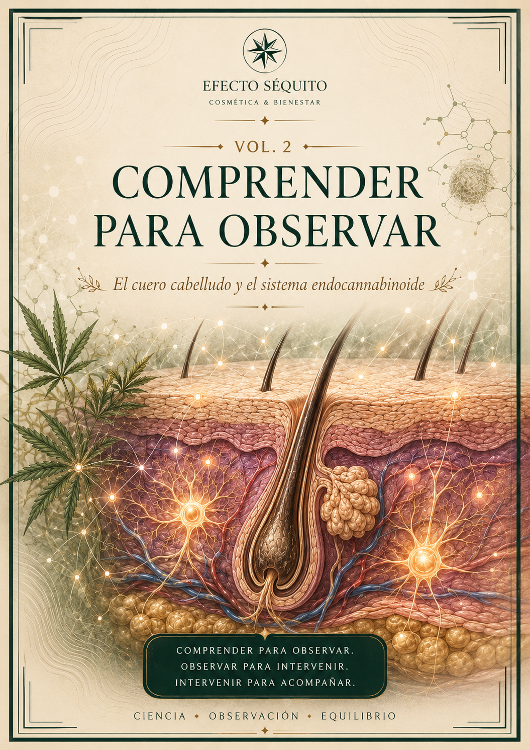 Colección Completa – 3 Volúmenes | Efecto Séquito