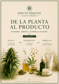 De la Planta al Producto – Volumen 3