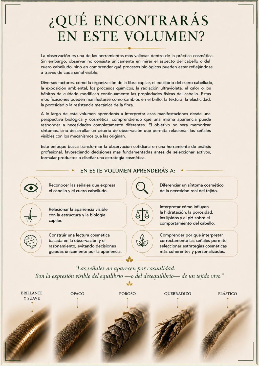 Leer las Señales | Volumen 5