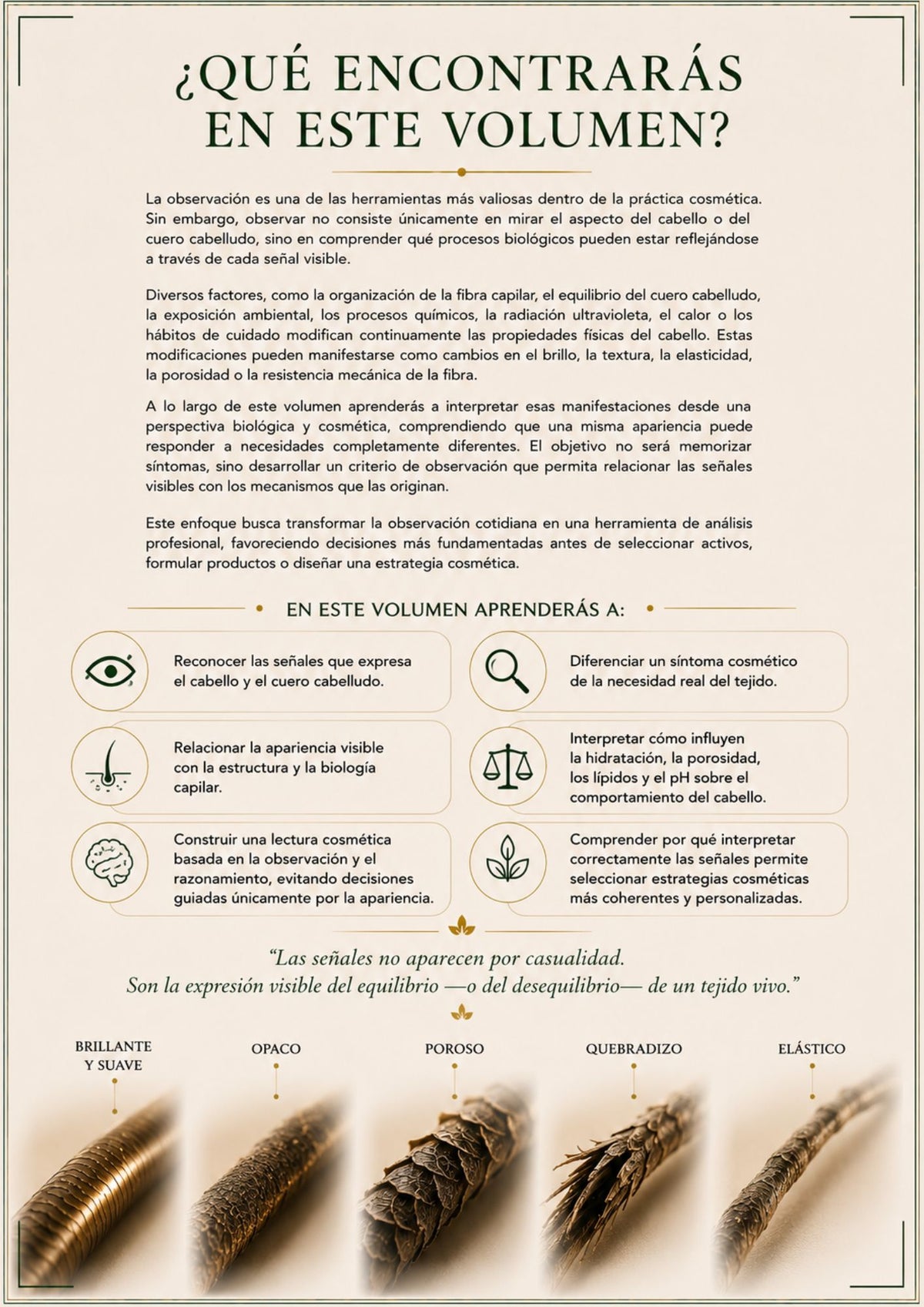 Leer las Señales | Volumen 5